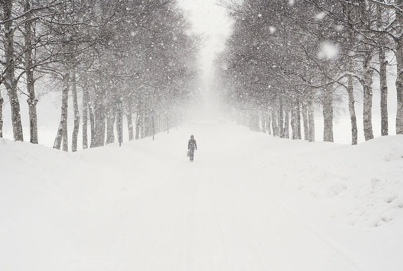 雪 雪