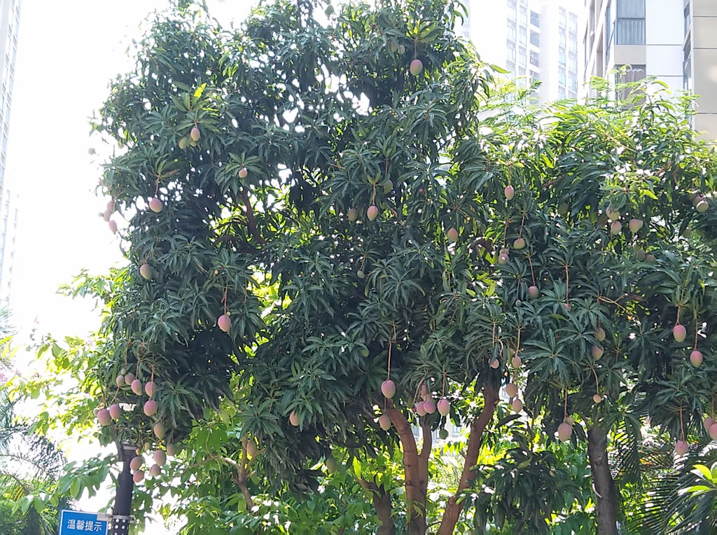 IMG_20180602_094645.jpg