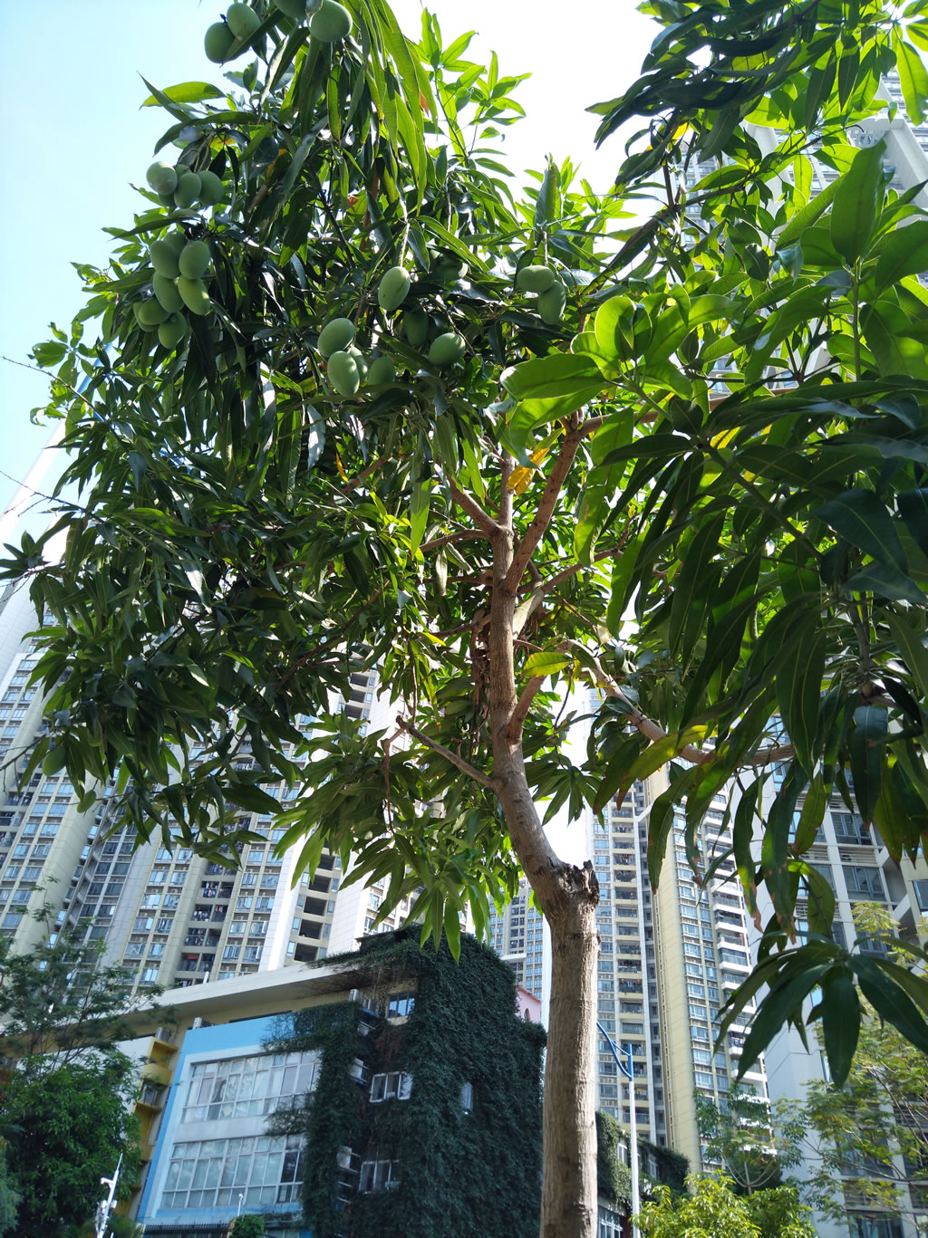 IMG_20180602_094932.jpg