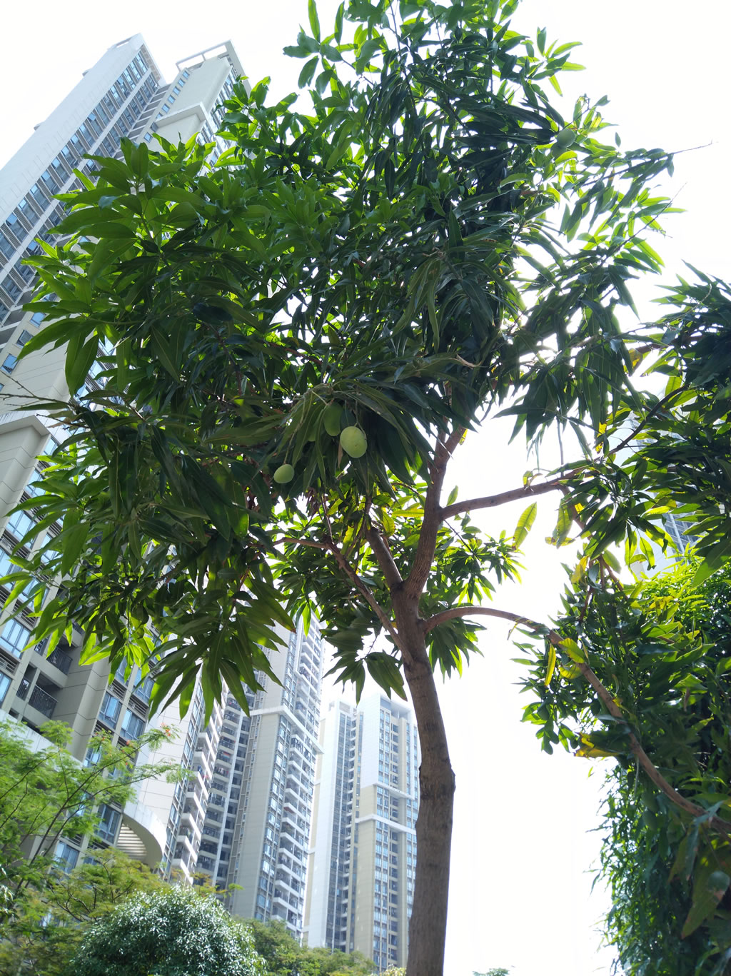 IMG_20180602_094920.jpg