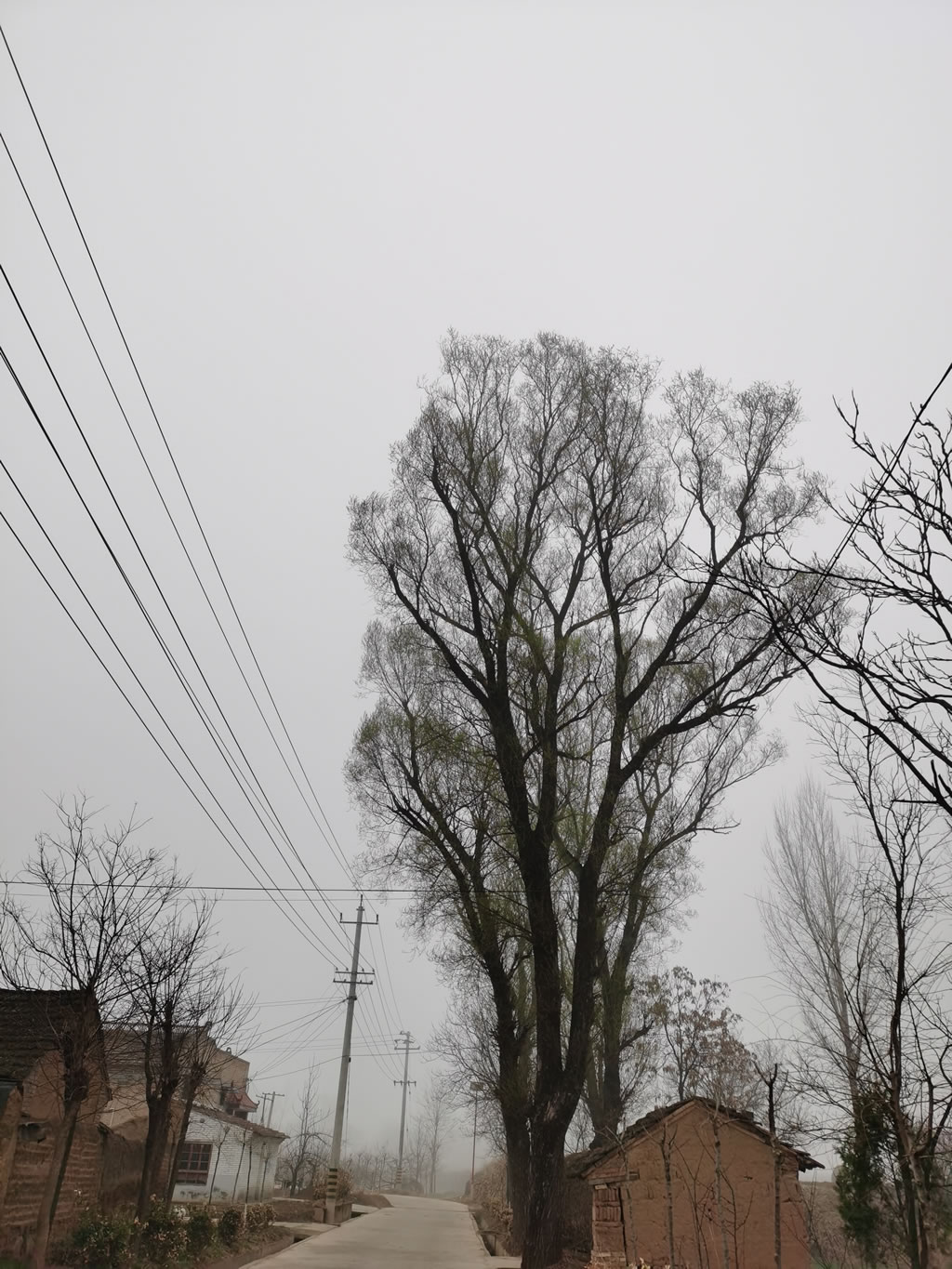 IMG_20210318_094336.jpg