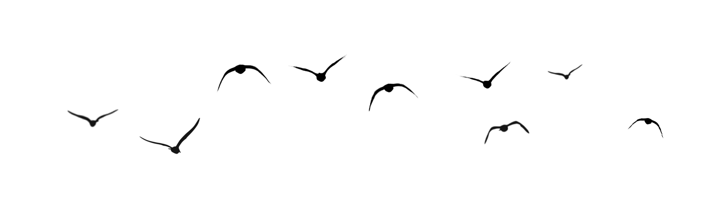 关于